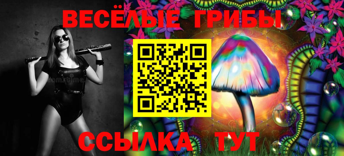 Янаул  Галлюциногенные грибы GOLDEN TEACHER  Вход с VPN 